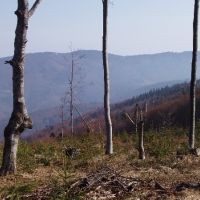 (30/105): Wycieczka turystyczna 21.04.2013r.<br>
Szczyrk - Salmopol - Klimczok - Szyndzielnia - Dbowiec - Bielsko - Biaa