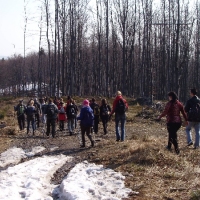 (31/105): Wycieczka turystyczna 21.04.2013r.<br>
Szczyrk - Salmopol - Klimczok - Szyndzielnia - Dbowiec - Bielsko - Biaa