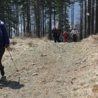 (69/105): Wycieczka turystyczna 21.04.2013r.<br>
Szczyrk - Salmopol - Klimczok - Szyndzielnia - Dbowiec - Bielsko - Biaa