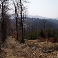 (73/105): Wycieczka turystyczna 21.04.2013r.<br>
Szczyrk - Salmopol - Klimczok - Szyndzielnia - Dbowiec - Bielsko - Biaa