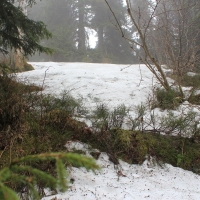 (26/86): Wycieczka na Pilsko 1557 m n.p.m. 06.04.2014r.
