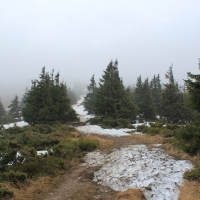 (40/86): Wycieczka na Pilsko 1557 m n.p.m. 06.04.2014r.
