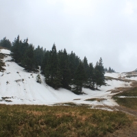 (48/86): Wycieczka na Pilsko 1557 m n.p.m. 06.04.2014r.
