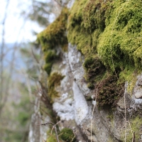 (57/86): Wycieczka na Pilsko 1557 m n.p.m. 06.04.2014r.
