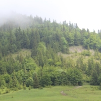 (27/203): Wycieczka na Velky Rozsutec 15.06.2014r.