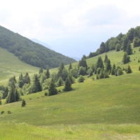 (30/203): Wycieczka na Velky Rozsutec 15.06.2014r.