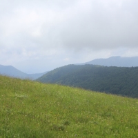 (31/203): Wycieczka na Velky Rozsutec 15.06.2014r.