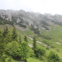 (33/203): Wycieczka na Velky Rozsutec 15.06.2014r.