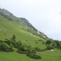 (34/203): Wycieczka na Velky Rozsutec 15.06.2014r.