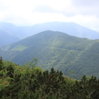 (36/203): Wycieczka na Velky Rozsutec 15.06.2014r.