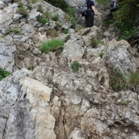 (48/203): Wycieczka na Velky Rozsutec 15.06.2014r.