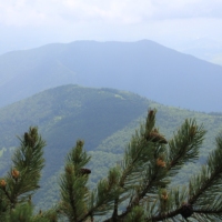 (52/203): Wycieczka na Velky Rozsutec 15.06.2014r.