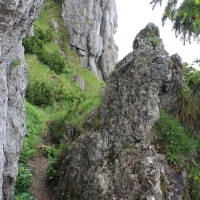 (53/203): Wycieczka na Velky Rozsutec 15.06.2014r.