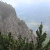 (58/203): Wycieczka na Velky Rozsutec 15.06.2014r.