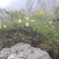 (68/203): Wycieczka na Velky Rozsutec 15.06.2014r.