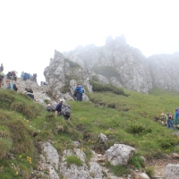 (74/203): Wycieczka na Velky Rozsutec 15.06.2014r.