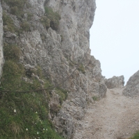 (92/203): Wycieczka na Velky Rozsutec 15.06.2014r.