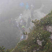 (119/203): Wycieczka na Velky Rozsutec 15.06.2014r.