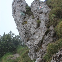 (121/203): Wycieczka na Velky Rozsutec 15.06.2014r.