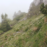 (122/203): Wycieczka na Velky Rozsutec 15.06.2014r.