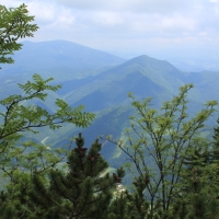 (137/203): Wycieczka na Velky Rozsutec 15.06.2014r.