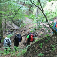 (152/203): Wycieczka na Velky Rozsutec 15.06.2014r.