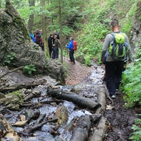 (153/203): Wycieczka na Velky Rozsutec 15.06.2014r.