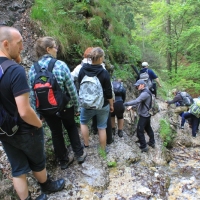 (164/203): Wycieczka na Velky Rozsutec 15.06.2014r.