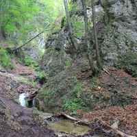 (173/203): Wycieczka na Velky Rozsutec 15.06.2014r.