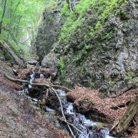 (174/203): Wycieczka na Velky Rozsutec 15.06.2014r.