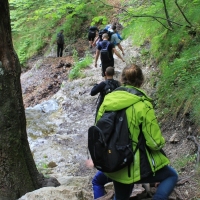 (175/203): Wycieczka na Velky Rozsutec 15.06.2014r.