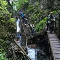 (180/203): Wycieczka na Velky Rozsutec 15.06.2014r.