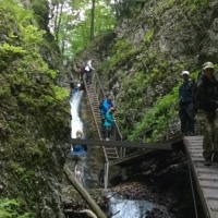 (181/203): Wycieczka na Velky Rozsutec 15.06.2014r.