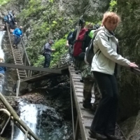 (184/203): Wycieczka na Velky Rozsutec 15.06.2014r.