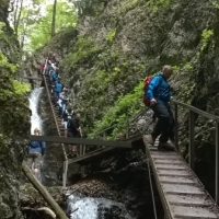 (185/203): Wycieczka na Velky Rozsutec 15.06.2014r.