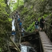 (186/203): Wycieczka na Velky Rozsutec 15.06.2014r.