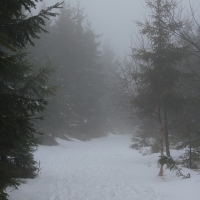 (55/79): Wycieczka na ys Hor 1323 m n.p.m. - 16.03.2014r.