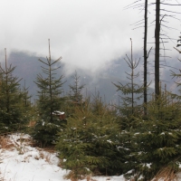 (57/79): Wycieczka na ys Hor 1323 m n.p.m. - 16.03.2014r.