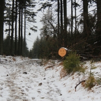 (58/79): Wycieczka na ys Hor 1323 m n.p.m. - 16.03.2014r.