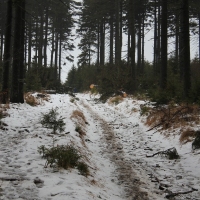 (59/79): Wycieczka na ys Hor 1323 m n.p.m. - 16.03.2014r.