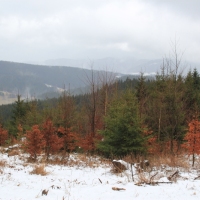 (60/79): Wycieczka na ys Hor 1323 m n.p.m. - 16.03.2014r.
