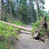 (61/111): Wycieczka na Wielk Racz 25.05.2014r.