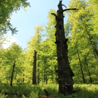 (63/111): Wycieczka na Wielk Racz 25.05.2014r.