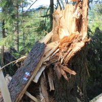 (78/111): Wycieczka na Wielk Racz 25.05.2014r.