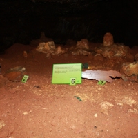 (348/429): OBZ ROWEROWY 9-13.07.2014
