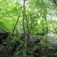 (386/429): OBZ ROWEROWY 9-13.07.2014