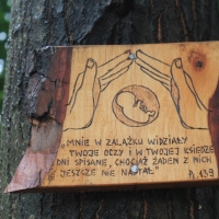 (165/240): Zamki i warownie Wyyny Krakowsko-Czstochowskiej 11-15.07.2015r.