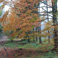 (7/64): Wycieczka w Beskid ywiecki 18.10.2015r.