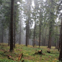 (10/64): Wycieczka w Beskid ywiecki 18.10.2015r.