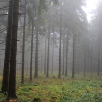 (11/64): Wycieczka w Beskid ywiecki 18.10.2015r.